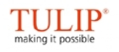 Tulip Telecom: On a sticky financial wic...